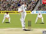 Brian Lara Cricket PC Thumbnail