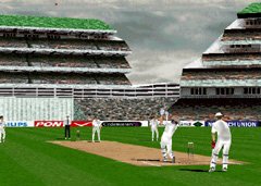 Brian Lara Cricket Screenshot