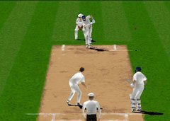 Brian Lara Cricket Screenshot