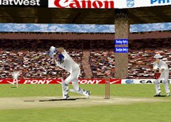 Brian Lara Cricket Screenshot