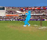 Cricket World Cup 99 Thumbnail