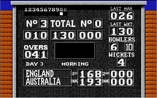 World Cricket Screenshot