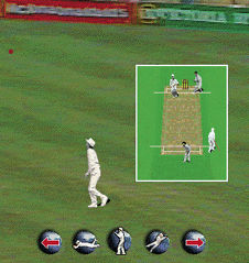 World Cricket 2001 Screenshot