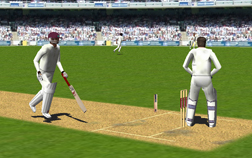 Cricket Screenshot