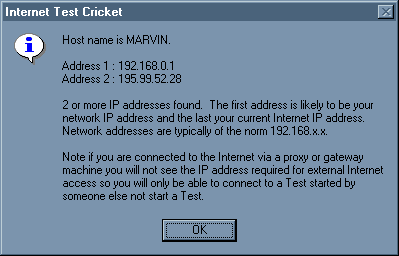 Internet Test Cricket Screenshot